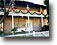 Bonelli House