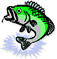Western Arizona Fishing Guide Service