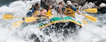 Rafting, Horseback, & Biking!