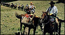 Arkansas Valley Adventures - Horseback Riding