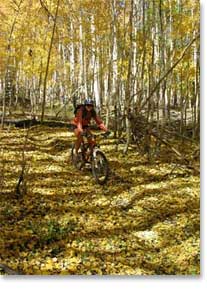 Rim Tours Photo