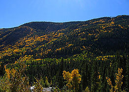 Roosevelt National Forest