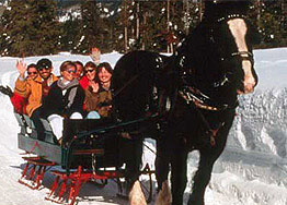 Vista Verde Ranch - Horseback Riding and Sleigh Rides Photo