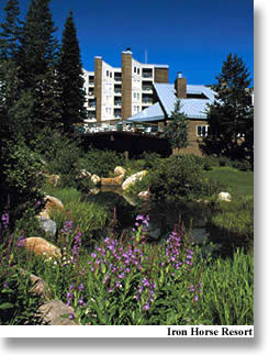 Iron Horse Resort