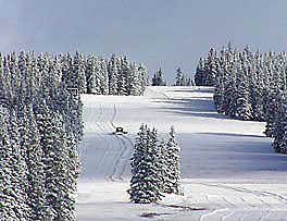 Ski Cooper
