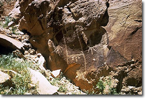 Slideshow image