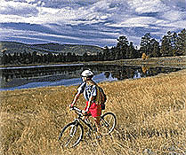 Red Canyon Lodge 