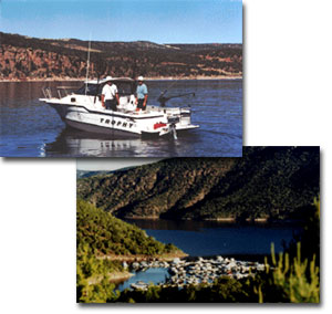 Cedar Springs Marina