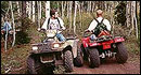 Bear River Lodge and Tours