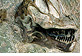 Dinosaur National Monument