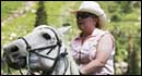High Country Exploring Horseback