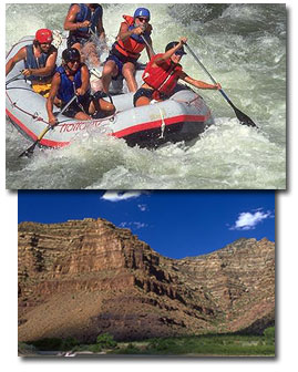 Holiday Expeditions
