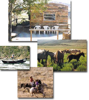 Spring Creek Guest Ranch
