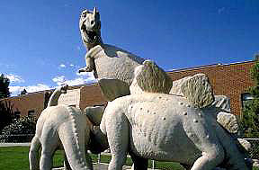 Utah Field House of Natural History State Park Museum