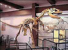 Utah Field House of Natural History State Park Museum