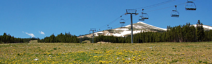 Summer Scene