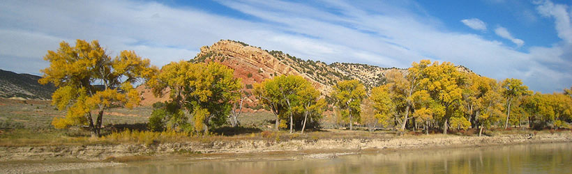 Beautiful Yampa