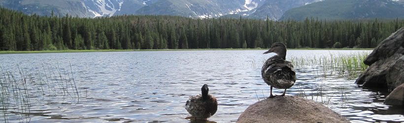 Serene Mountain Lake