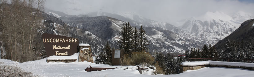 Uncompahgre National Forest