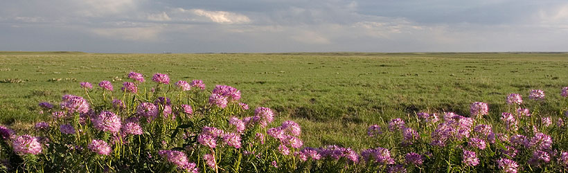 Pawnee National Grassland