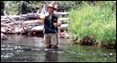 Vista Verde Ranch - Fishing