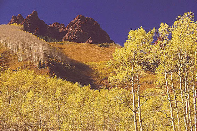 Aspen