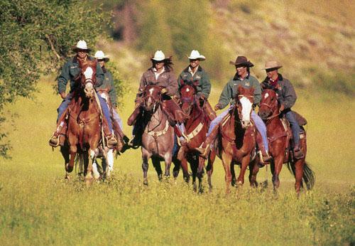 Drowsy Water Ranch - Horseback Riding