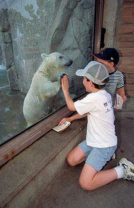 Denver Zoo