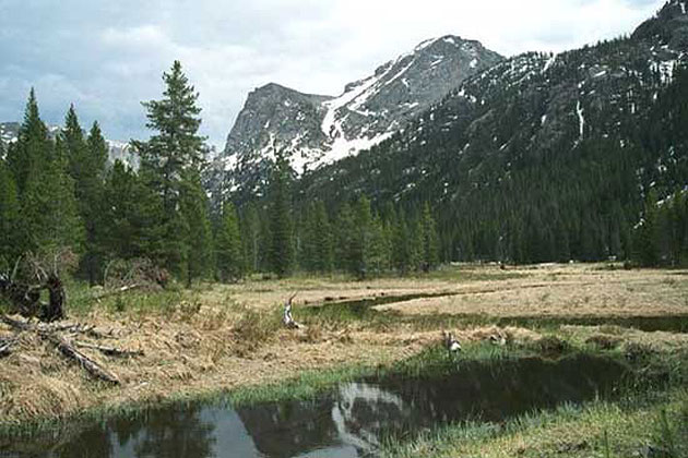 Lone Eagle Peak Trail