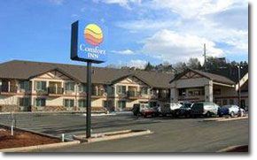 Comfort Inn