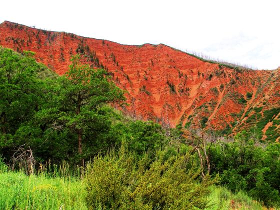 Why It Is Called RED Mountain  